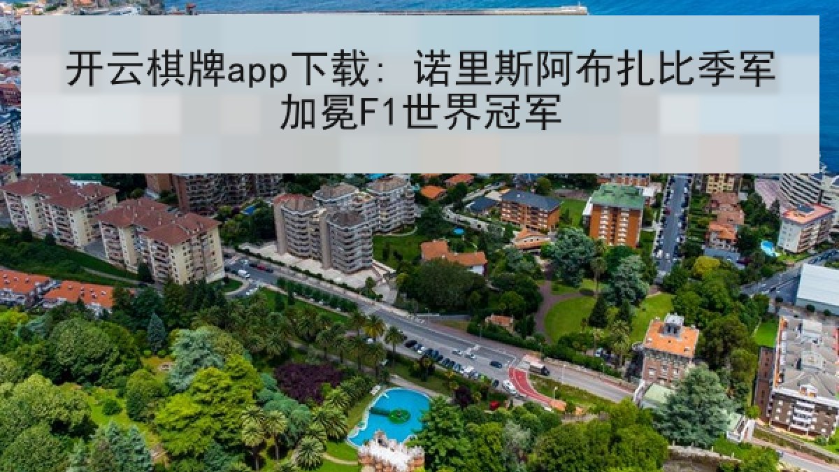 开云棋牌app下载: 诺里斯阿布扎比季军加冕F1世界冠军